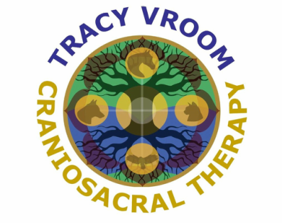 The CranioConnection by Tracy Vroom